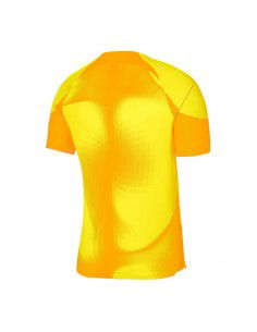 Nike Dri-FIT ADV Gardien 4 M DH7760-719 goalkeeper jersey 2