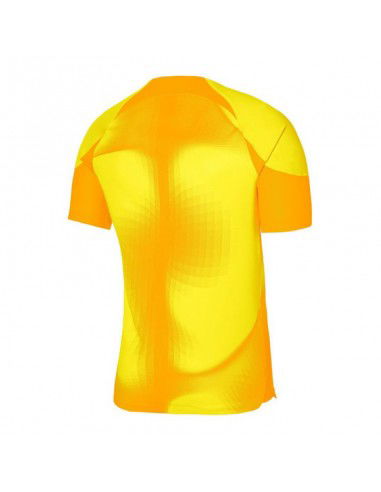 Nike Dri-FIT ADV Gardien 4 M DH7760-719 goalkeeper jersey