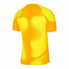 Nike Dri-FIT ADV Gardien 4 M DH7760-719 goalkeeper jersey