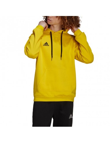 Adidas Entrada 22 Hoody M HI2140 sweatshirt