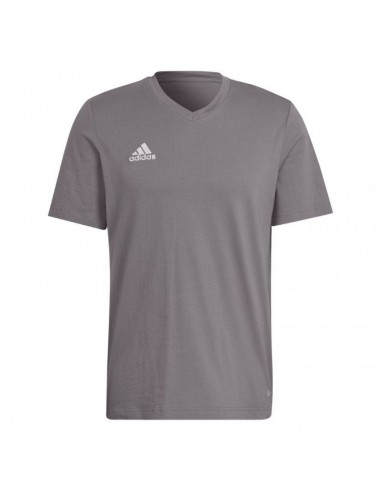 Adidas Entrada 22 Ανδρικό T-shirt Γκρι με Λογότυπο HC0449
