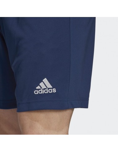 Adidas Entrada 22 M H57506 shorts