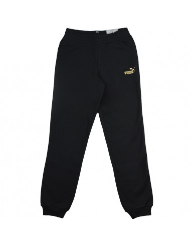 Puma Essential Sweatpants FL G 846133-51