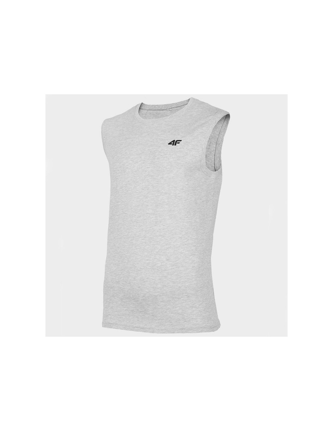 Men's T-Shirts 4F Gray