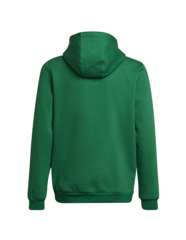 Sweatshirt adidas Entrada 22 Hoody Y Jr HI2143