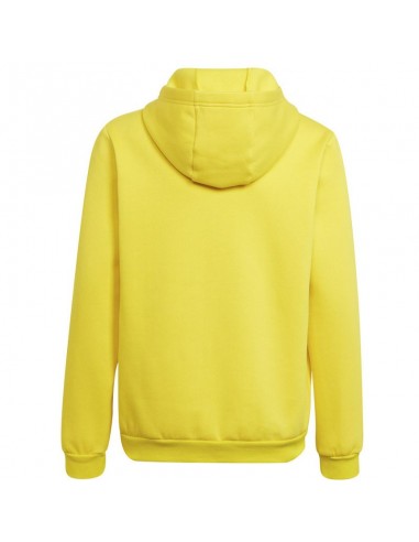 Sweatshirt adidas Entrada 22 Hoody Y Jr HI2142