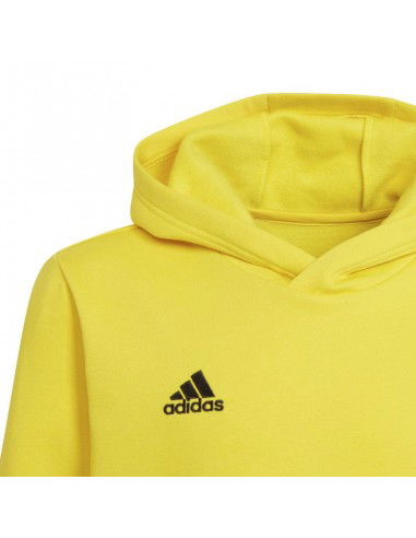 Sweatshirt adidas Entrada 22 Hoody Y Jr HI2142