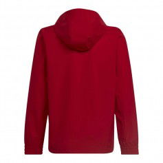 Jacket adidas Entrada 22 All-weather Jr HG6300