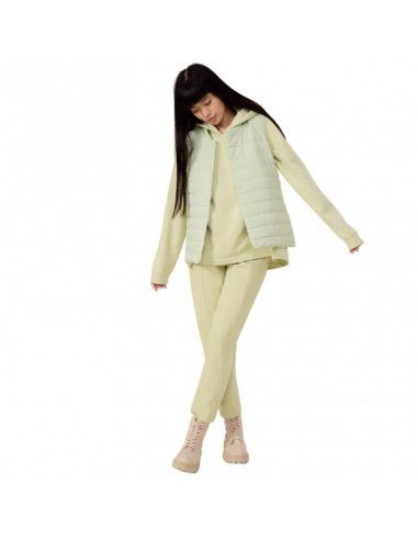 Vest Outhorn W HOL22 KUDP600 42S