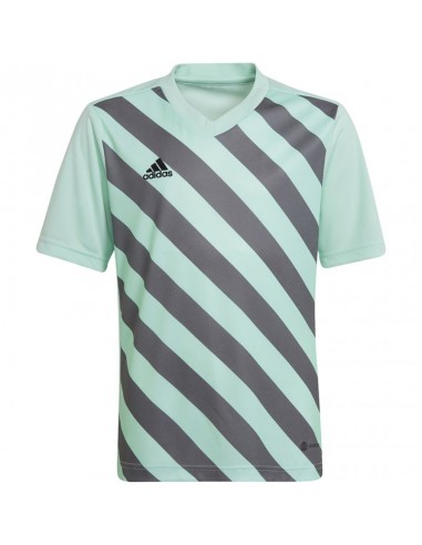 T-shirt adidas Entrada 22 Graphic Jersey Jr HF0127