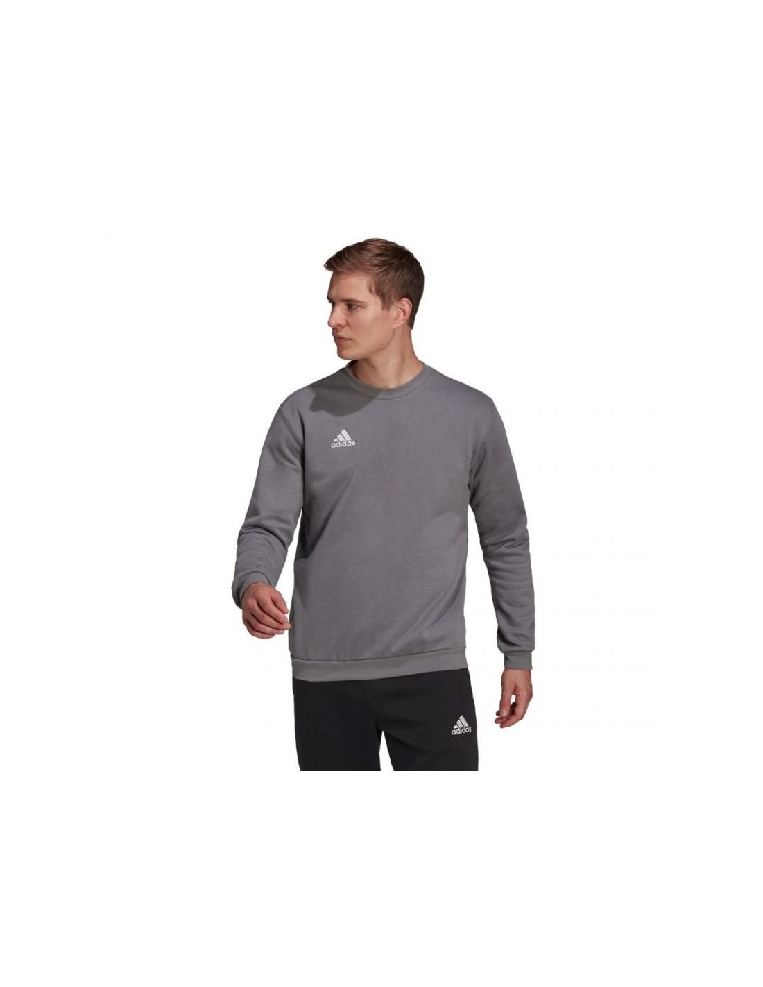 Men's Hoodies & Sweatshirts Adidas Gray