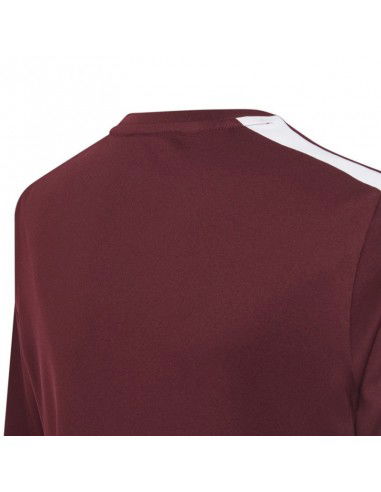 T-shirt adidas Squadra 21 Jersey Youth Jr GN8090