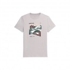 T-shirt 4F M H4L22-TSM071 gray