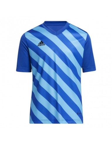 Adidas Entrada 22 Graphic Jersey Jr HF0130