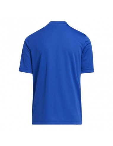 Adidas Entrada 22 Graphic Jersey Jr HF0130