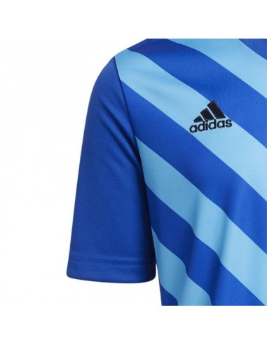 Adidas Entrada 22 Graphic Jersey Jr HF0130