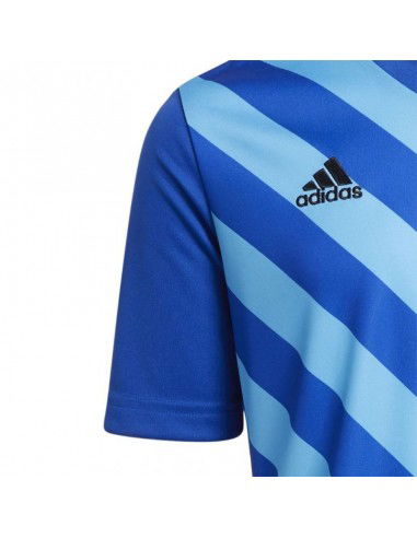 Adidas Entrada 22 Graphic Jersey Jr HF0130