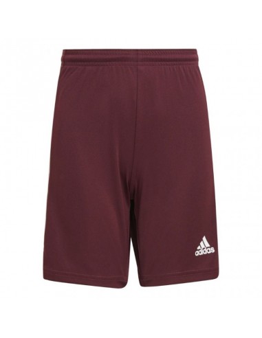 Adidas Squadra 21 Short Jr GN8081