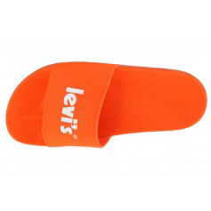 Levi's June Poster S 234221-753-76