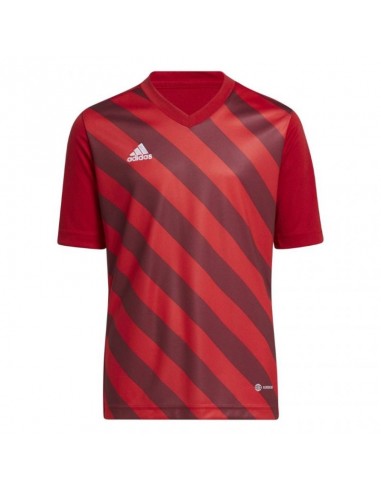 Adidas Entrada 22 Graphic Jersey Jr.H58983