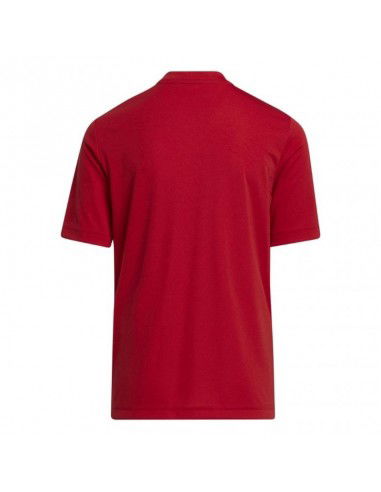 Adidas Entrada 22 Graphic Jersey Jr.H58983