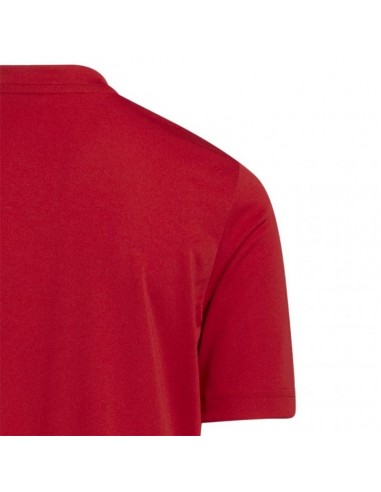 Adidas Entrada 22 Graphic Jersey Jr.H58983