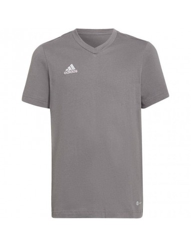 Adidas Entrada 22 Παιδικό T-shirt Γκρι HC0444