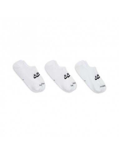 Nike Everyday Plus Cushioned DN3314-100 socks