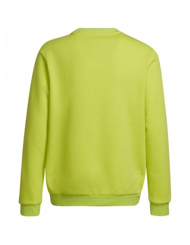 Adidas Entrada 22 Sweat Top Jr HC5043 sweatshirt