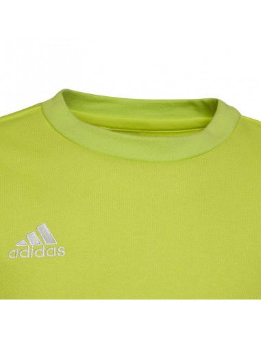 Adidas Entrada 22 Sweat Top Jr HC5043 sweatshirt