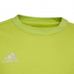 Adidas Entrada 22 Sweat Top Jr HC5043 sweatshirt