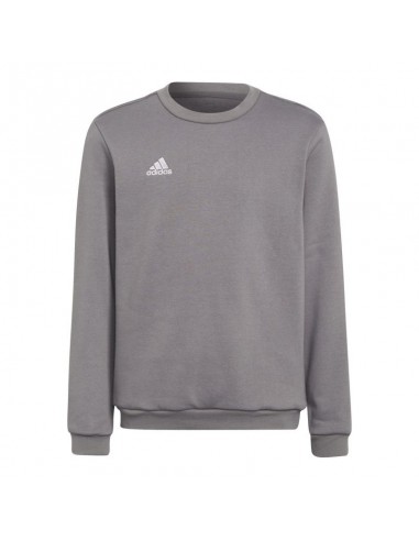 Adidas Entrada 22 Sweat Top Jr H57477 sweatshirt