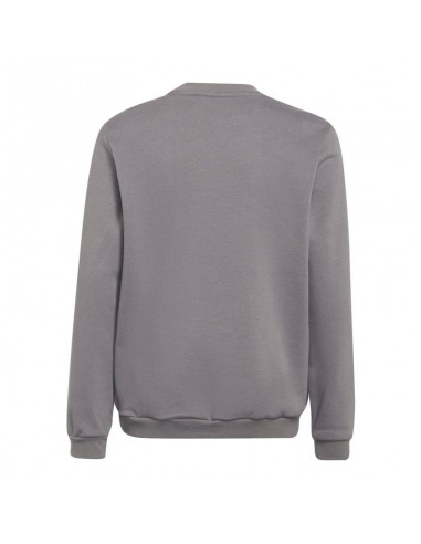 Adidas Entrada 22 Sweat Top Jr H57477 sweatshirt