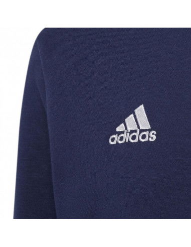 Sweatshirt adidas Entrada 22 Hoody Jr H57568