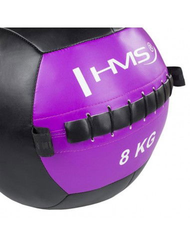HMS Wall Ball WLB 8 kg