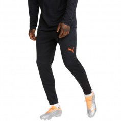 Puma Individual FINAL Training Pants M 657954 45