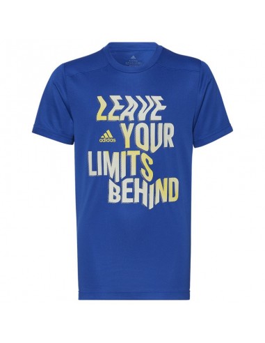 Adidas Αθλητικό Ανδρικό T-shirt Μπλε με Στάμπα HG2051