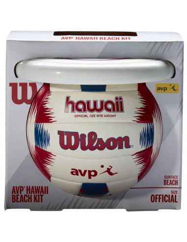 Wilson Hawaii AVP WTH80219KIT Μπάλα Beach Βόλεϊ Νο.5