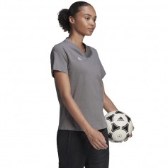 Adidas Entrada 22 Γυναικείο Αθλητικό T-shirt με V Λαιμόκοψη Γκρι HC0439