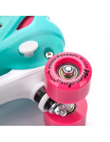 Meteor Meadow L 3942 24661