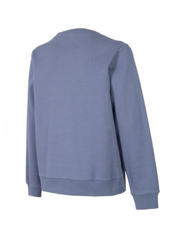 4F Γυναικείο Φούτερ Γκρι H4Z22-BLD020-25S