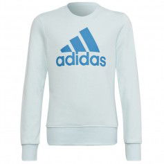 Sweatshirt adidas Big Logo Swt Jr HM8707
