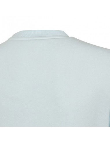 Sweatshirt adidas Big Logo Swt Jr HM8707