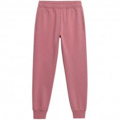 Outhorn pants W OTHAW22TTROF041 53S