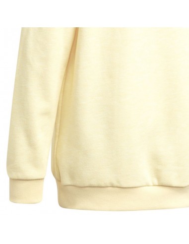 Adidas Badge of Sport Hoodie Jr HN8469