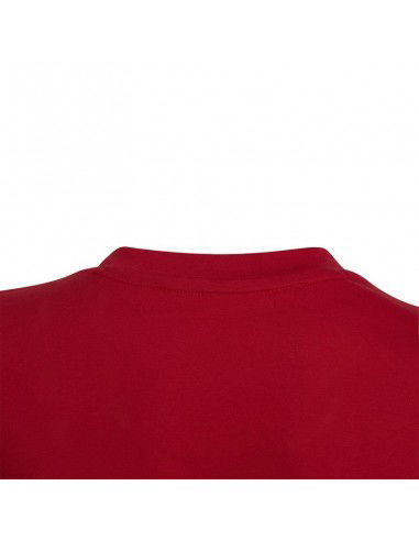 Tshirt adidas Entrada 22 Tee Jr HC0446