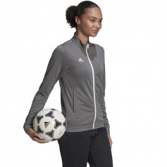 Adidas Entrada 22 Γυναικεία Ζακέτα Φούτερ Γκρι H57527