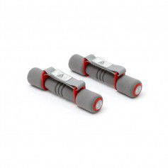 Reebok dumbbells 2x05kg RAWT11060RD