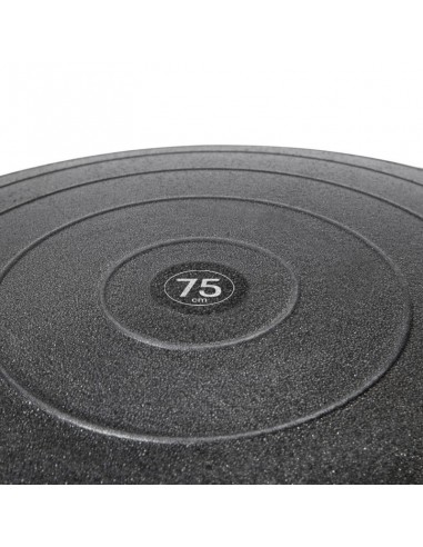Reebok RAB-12017BK Μπάλα Pilates 75cm, 1.3kg σε Μαύρο Χρώμα