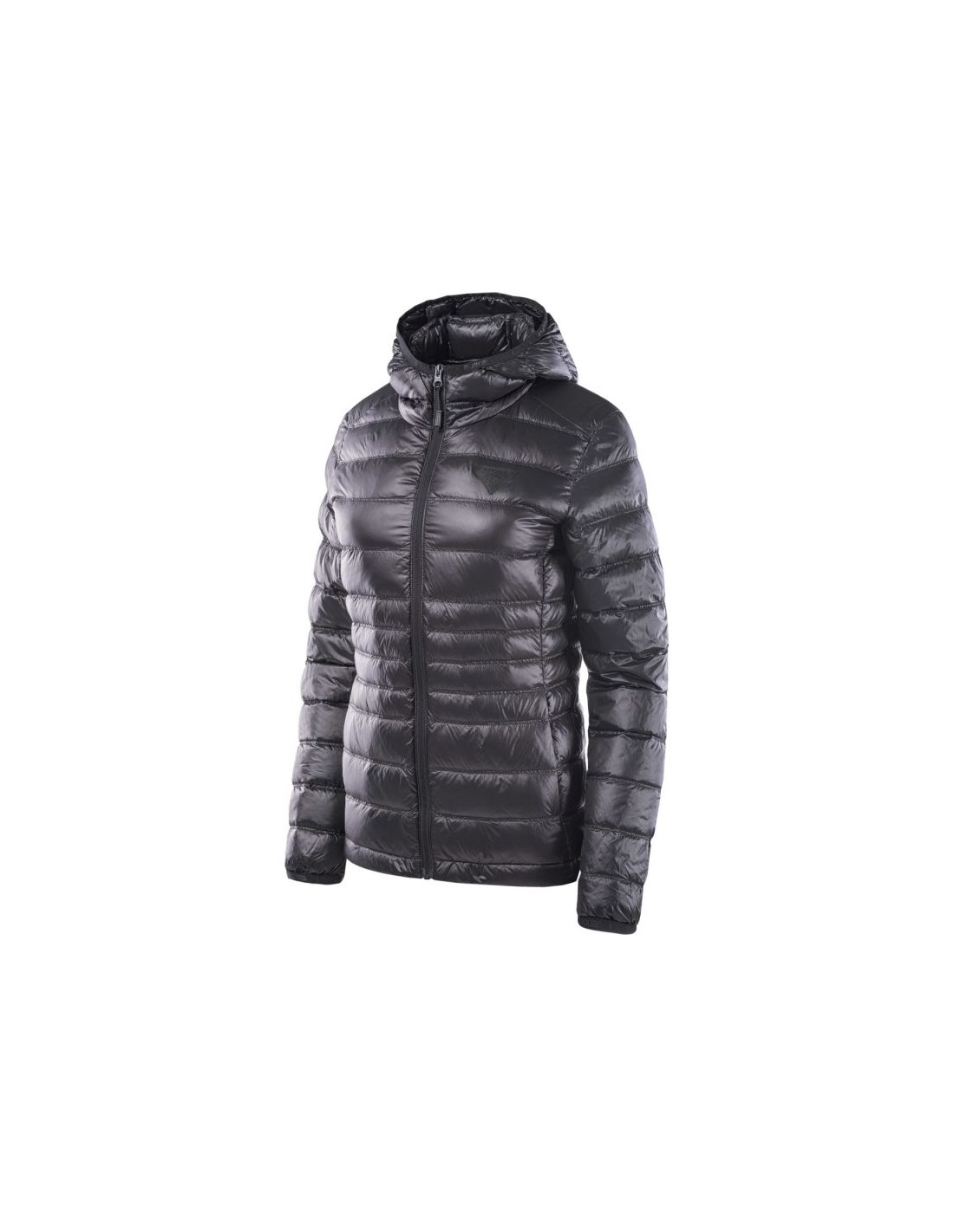 Women's Hoodies & Sweatshirts Iguana Black